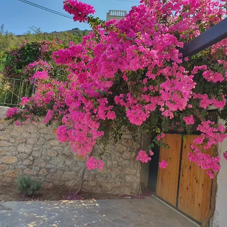 Apartment Ada - Mugla Datca